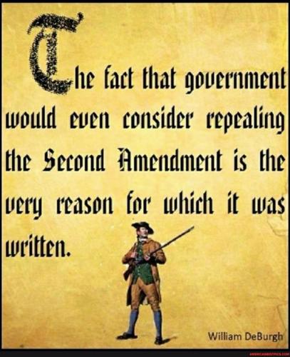 2nd amend