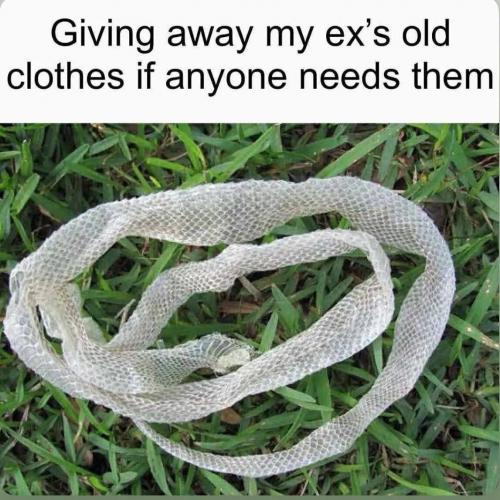 0b01be84-1a4c-4e1f-963d-bab82503a343_1147x1148