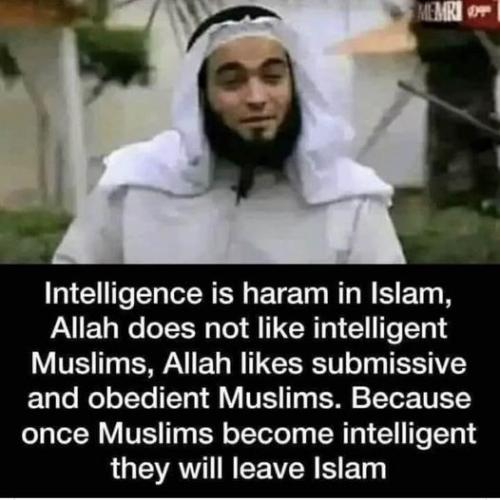 islamic intelligence