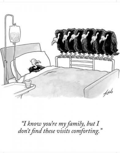 cre8_cec518adf29298af11efd99eb6808ec1