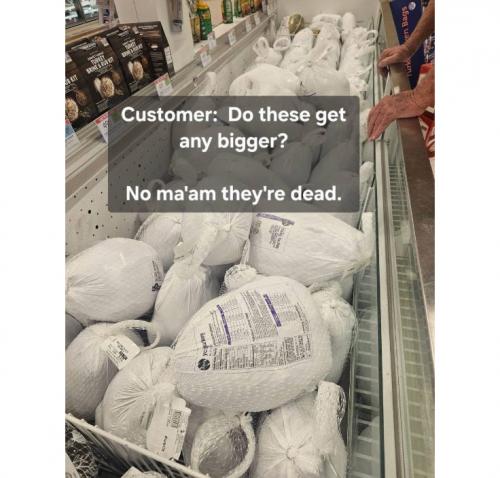 6973566a-9103-4644-b445-ac5d126f3b6a_736x704