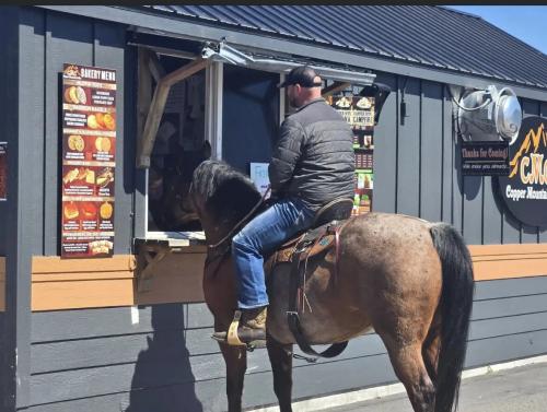 6c6dd15b21521b87b1c9a19e0e1a9c04