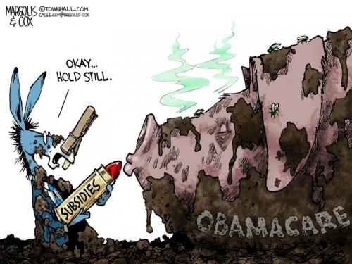 MC-OCarePig_121725-thm-800x0