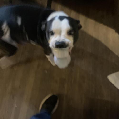 A706160B-1745-46BD-ABA3-3880E2F285CA