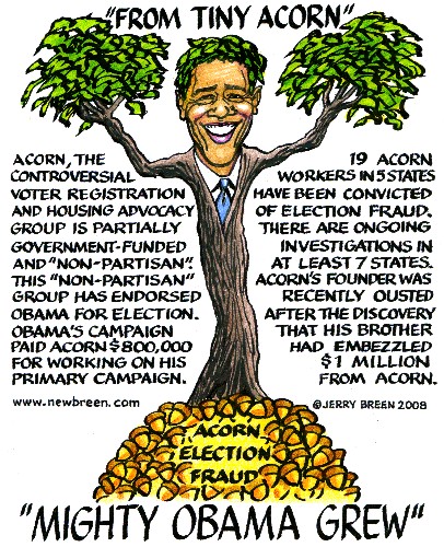 obama acorn tree