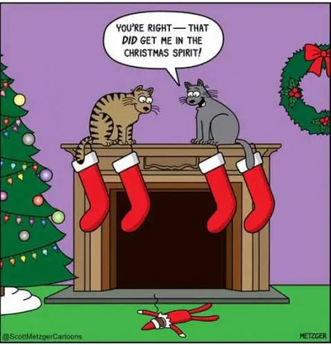 cat-knocking-off-elf-on-shelf-did-get-in-christmas-spirit.jpg