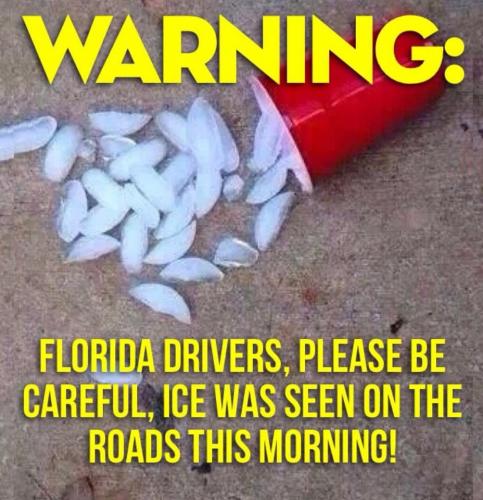 Florida drivers - Ice on the road (2)