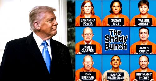 Russia Gate ~The Shady Bunch~ Movie Magic