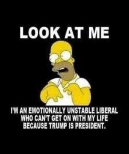 600278351_1541072723880542_7196958450621753596_n