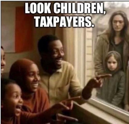 MINNESOTA TAXPAYERS2