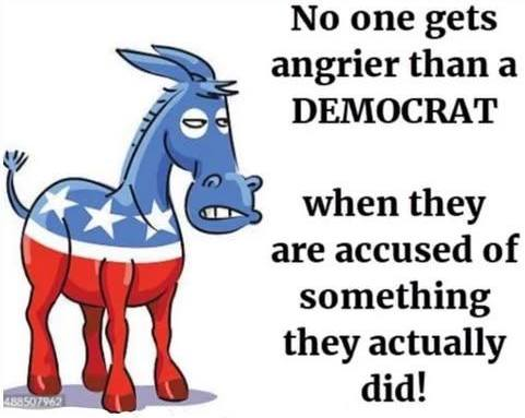 democrats did