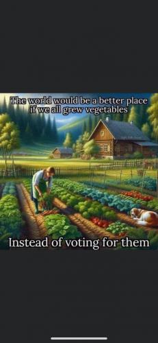 VOTING FOR THEM   TS