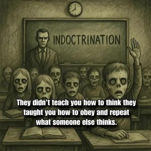 4bba1077-fec1-4293-9479-5d8669bf9c12_568x568