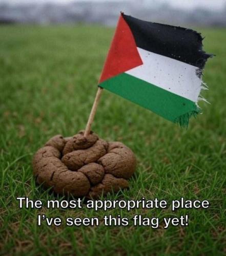 9c7cf309-d5fe-47c6-9982-4de0bbf1a7ca