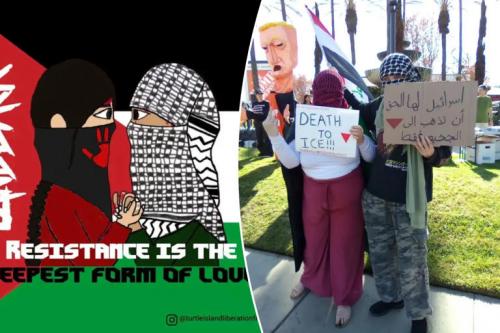 TURTLE ISLAND TERRORISTS