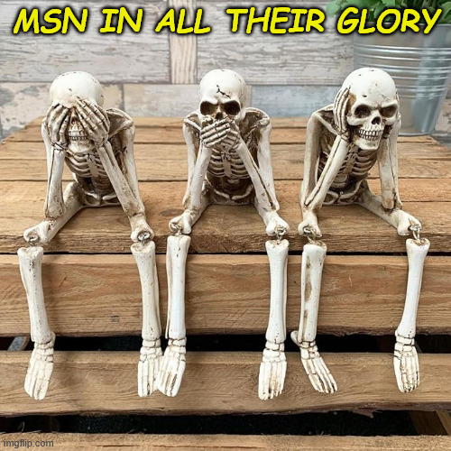 msniatg