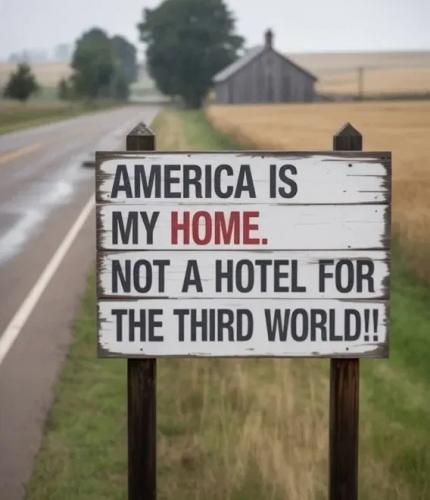 191f02d8-34d4-4f4c-a936-0ba3c004ef0a_568x659