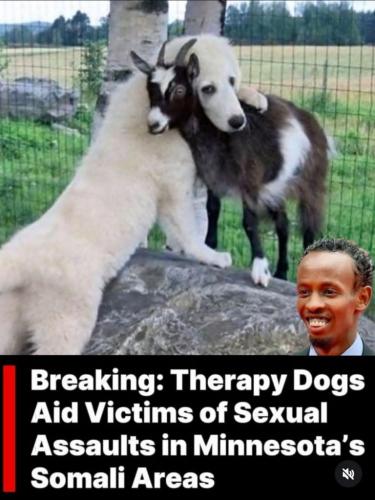 c676c94f25780d5be58db279d576447b_1024