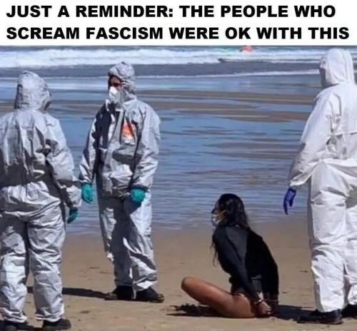 d57aa064-2f14-4b3a-abc8-1f49e1e22db5_1138x1058