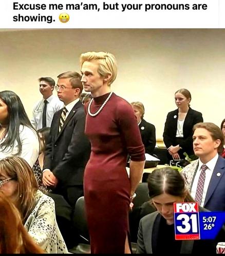 Trangender ~Pronouns Showing~