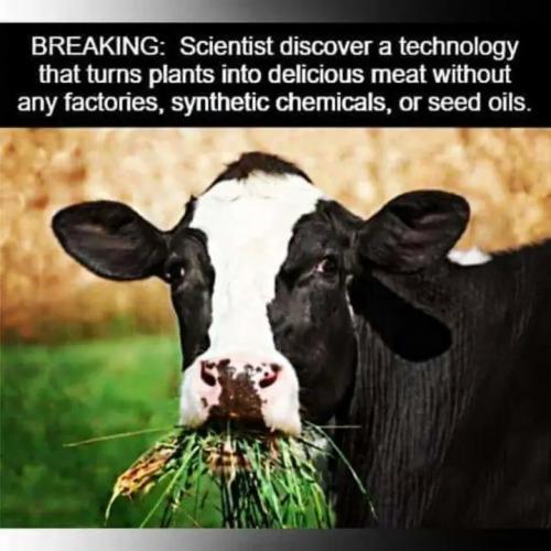 cre8_9e09894c130a3751051b344d7ff199c4