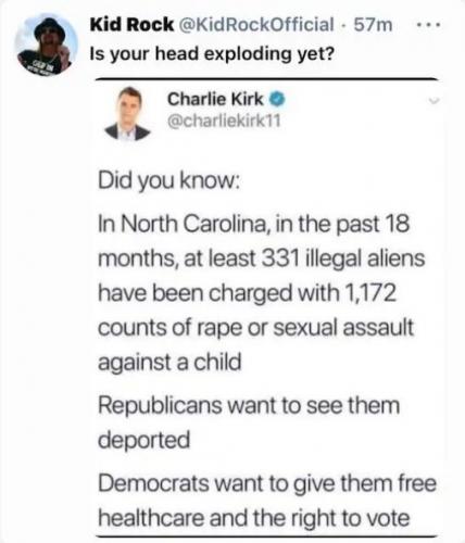 ILLEGAL ALIEN RAPESTS