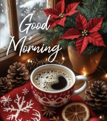 146db6e28cc8382a1fa37e00264059a7