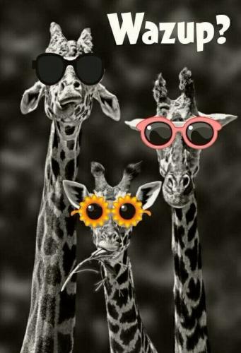 70345fdd7da0cb4227899d737bf6e884