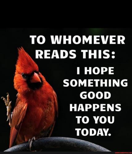 406c4b2b3150223f8e0b869f03f2c2e19b6d58a0a72c0cb0a7dab5bcb05e4d85_1