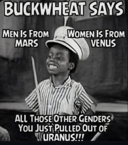 601443308_1541072393880575_7771900412885760504_n