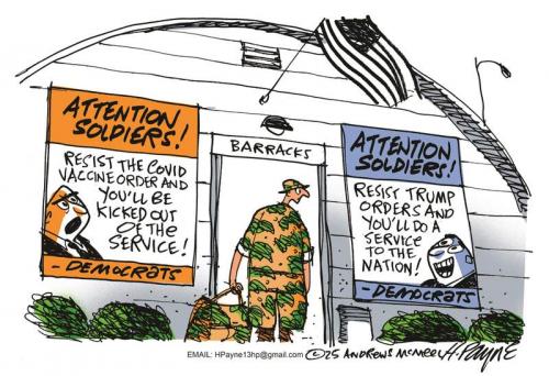 payn_c21319420251229121611-800x0