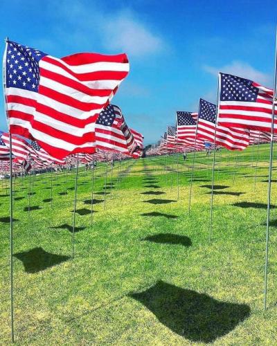 Flag - Flags in field