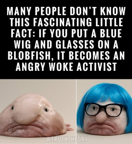 Blobfish