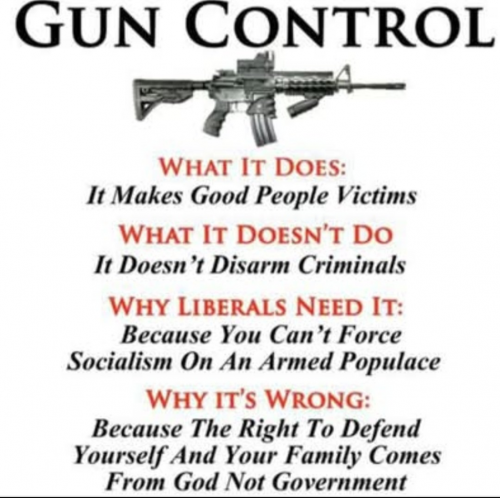 What gun control is