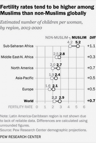 12-23-25 PEW RESEARCH #MuslimBirths compared to #NonMuslims