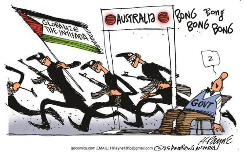 payn_c21313120251216120044-800x0