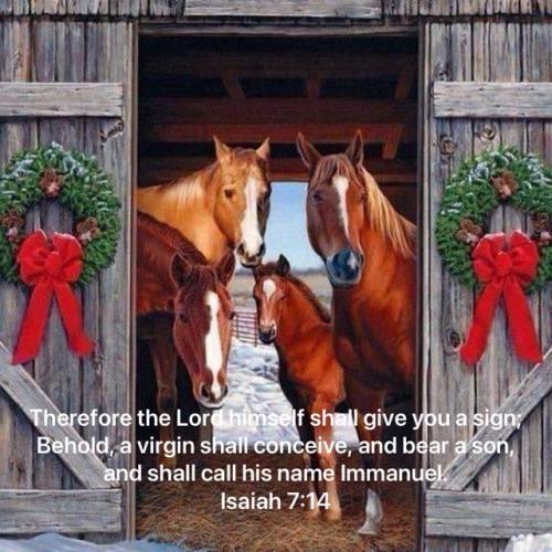 411926863_10231599537950826_5011394001402379385_n