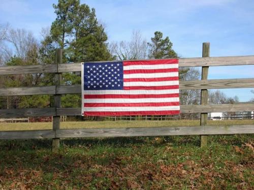 Flag - On fence