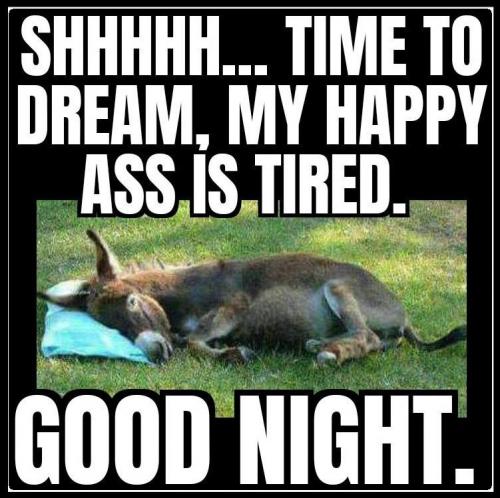 Good Night 79 - Happy ass...