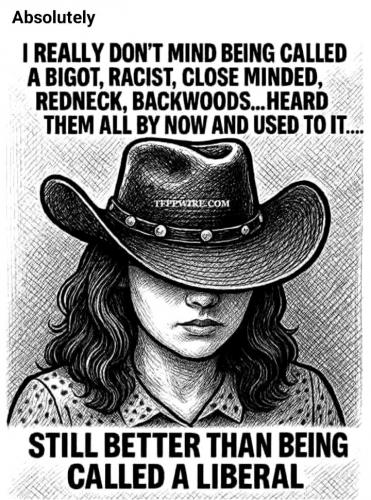 Better Than Being Called a Liberal