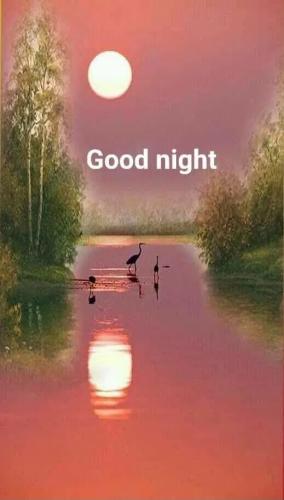 Good Night 82