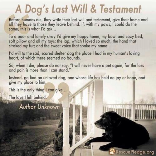 A DOGS LAST WILL AND TESTMENT   TS