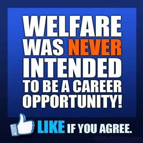 reality check 52