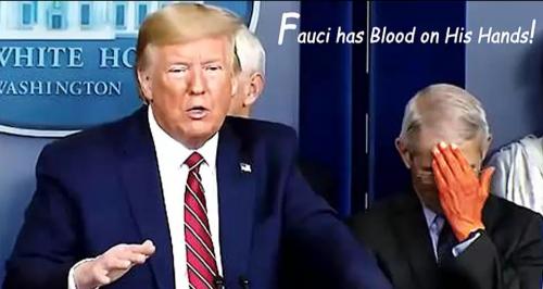 Fauci has Blood on His Hands