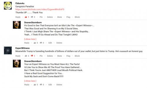 The ~Expert Witness~ Who's an Idiot