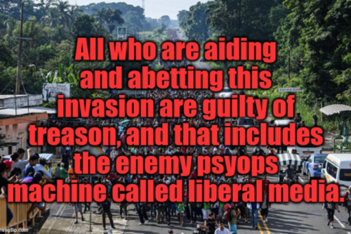 liberal media 39