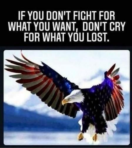 ccfa37dead70a7851cc075c9a6c6b645_1024