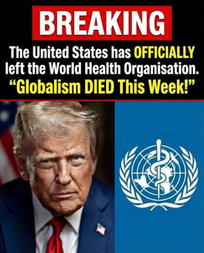 trump 2026 115
