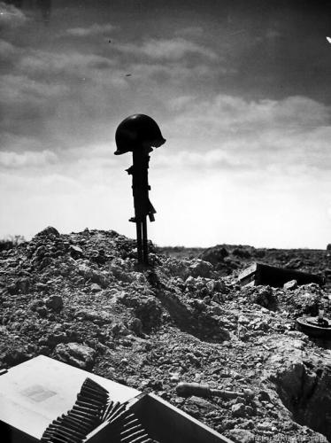 d7165a360e0e6a20 (2)