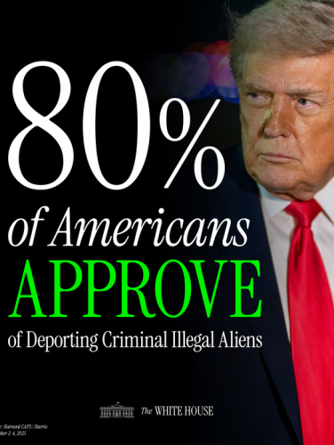1-26-26 #DeportIllegalAliens